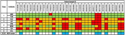 Genomic and phenotypic inconsistencies in Pseudomonas aeruginosa resistome among intensive care patients